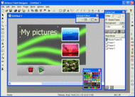 Selteco Alligator Flash Designer screenshot